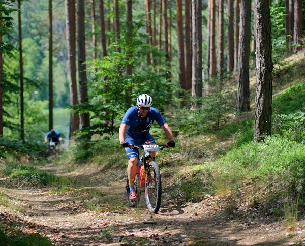 Welche Rolle spielt die Periodisierung im Muskelaufbau?